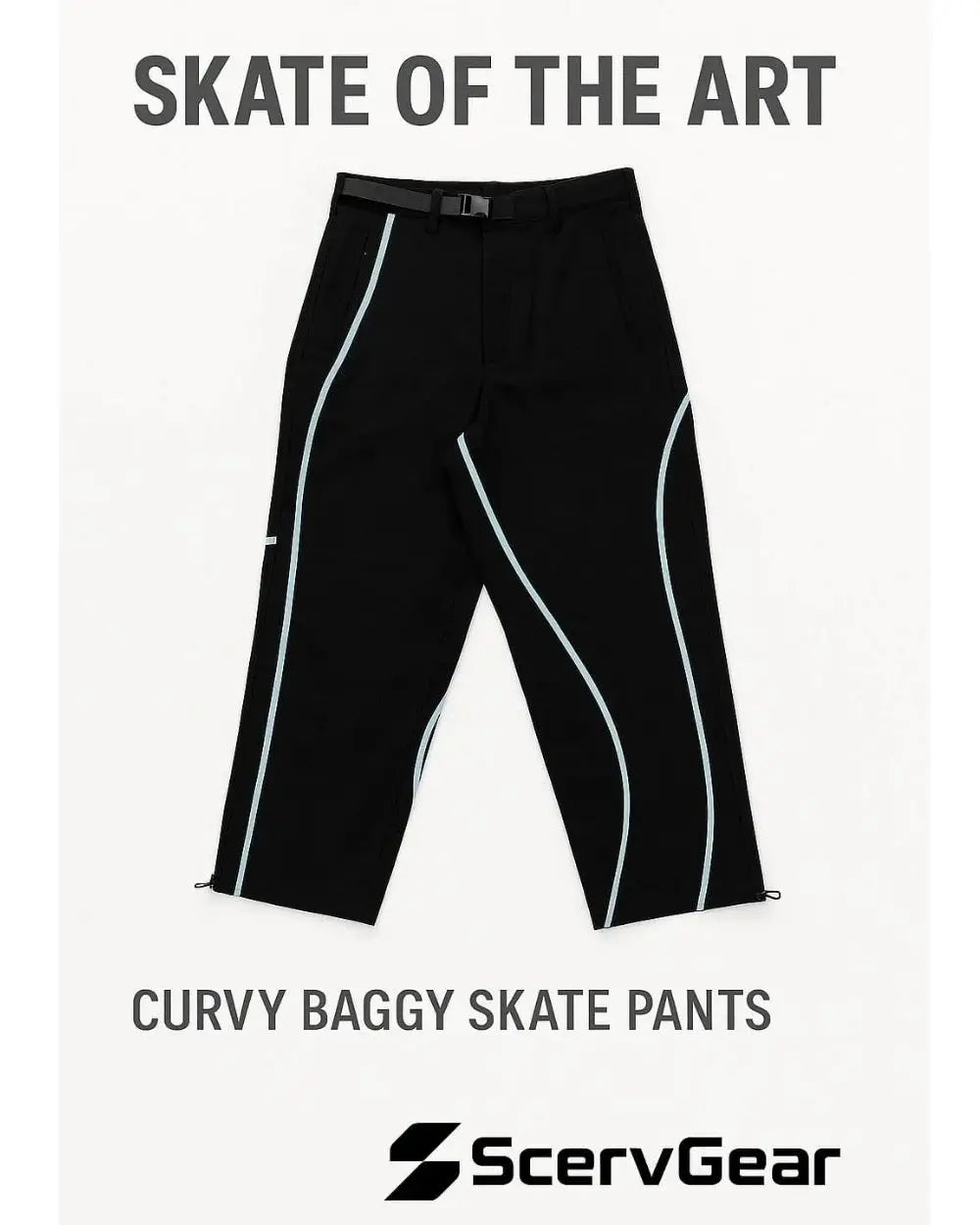 Picture of the Curvy Baggy Pants with text saying "Skate of the Art"